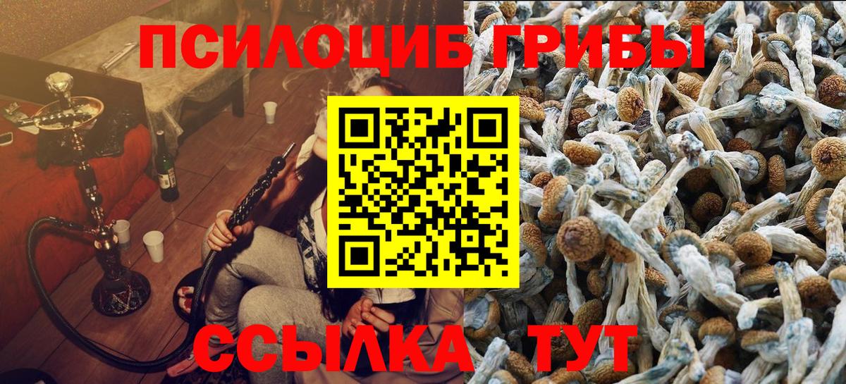 Галлюциногенные грибы Cubensis Сосновый Бор