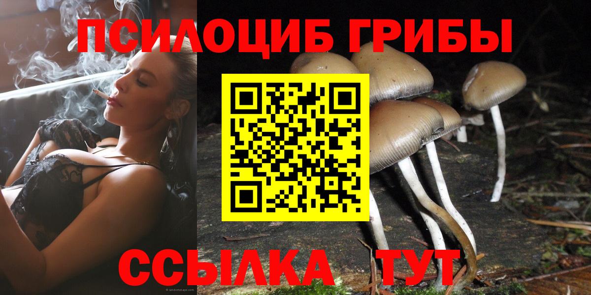 Галлюциногенные грибы MAGIC MUSHROOMS  Вход с VPN  наркота  Сосновый Бор 